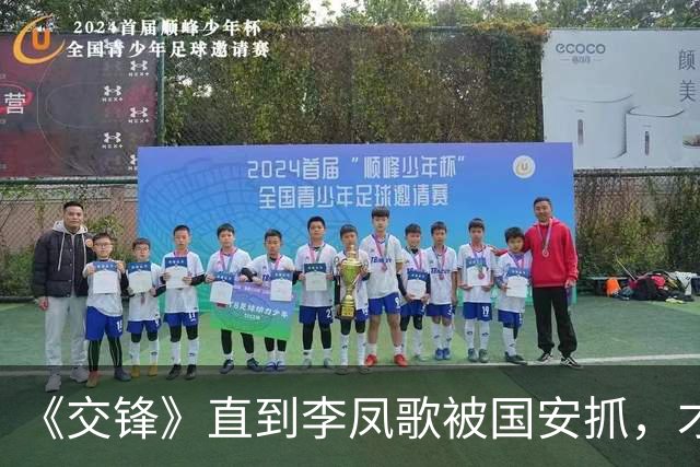《交锋》直到李凤歌被国安抓，才知，她背叛国安卖国，竟是为了报复马憩？林看山赢麻了