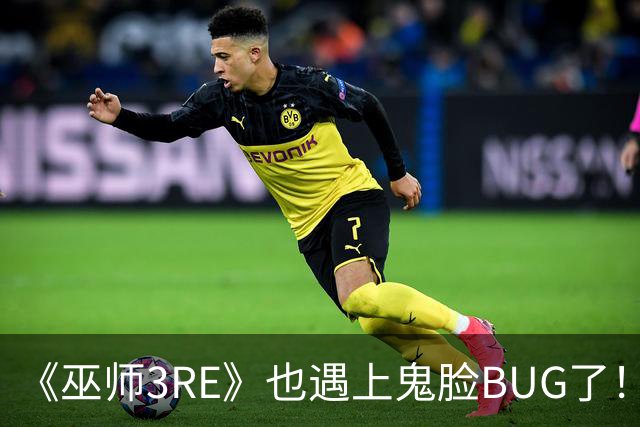《巫师3RE》也遇上鬼脸BUG了！免费升级那还说啥