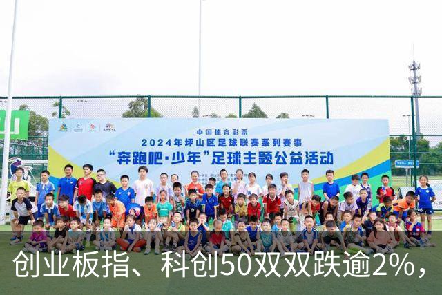 创业板指、科创50双双跌逾2%，长鑫科技开盘跳水，反抽即将来临