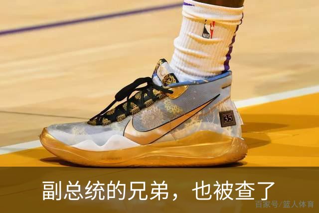 副总统的兄弟，也被查了