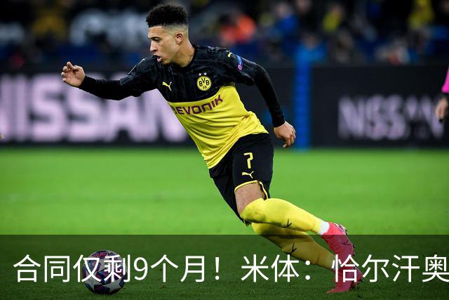 合同仅剩9个月！米体：恰尔汗奥卢仍是国米核心，但伤病影响续约
