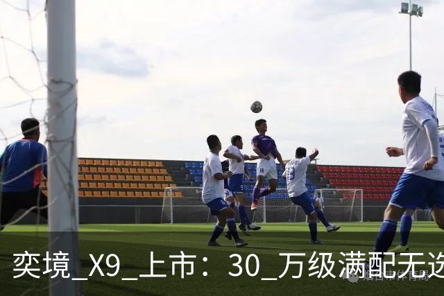 奕境 X9 上市：30 万级"满配无选装"，戳破的是整个行业的选装生意