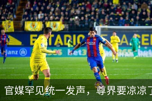 官媒罕见统一发声，尊界要凉凉了