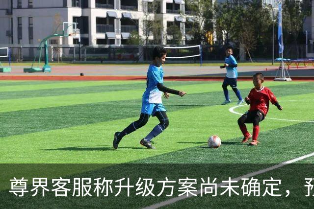尊界客服称升级方案尚未确定，预计10月底确认、11月启动；懂车帝相关视频已无法查看