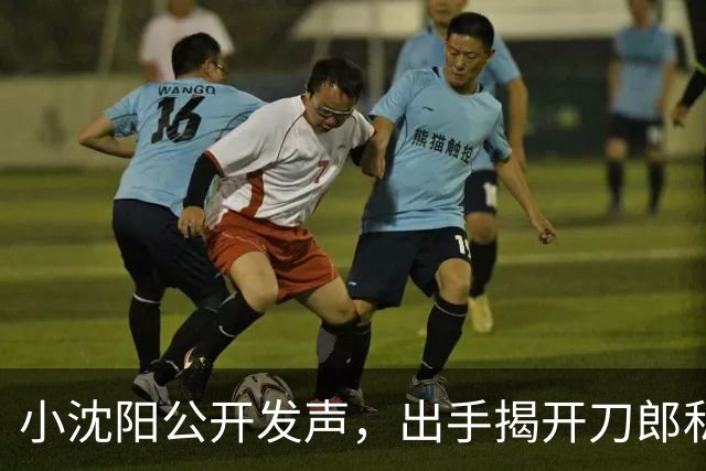 小沈阳公开发声，出手揭开刀郎私下人品，其实他和那英是一类人
