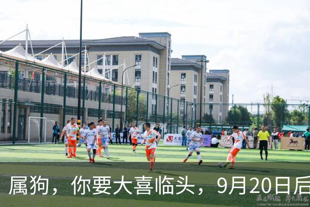 属狗，你要大喜临头，9月20日后，家里将发生4件大事，并非迷信