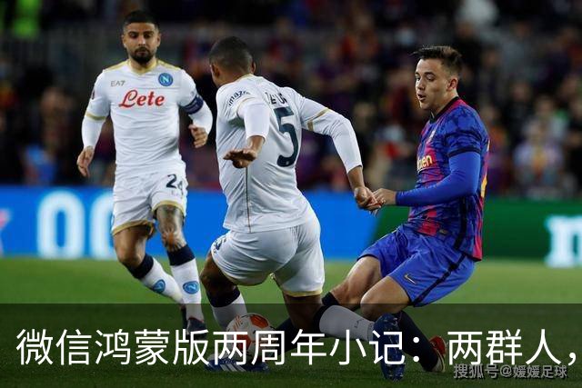 微信鸿蒙版两周年小记：两群人，一件难事，从陌生到并肩的700天