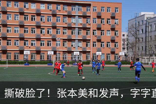 撕破脸了！张本美和发声，字字直戳松岛心窝，日乒尴尬了
