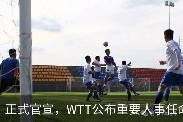 正式官宣，WTT公布重要人事任命，中国乒乓美女被提拔，正式上岗担任总监职务