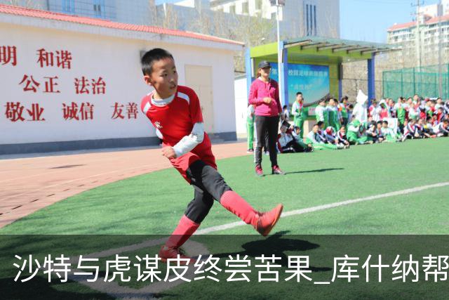 沙特与虎谋皮终尝苦果 库什纳帮助俄罗斯“合法”打劫
