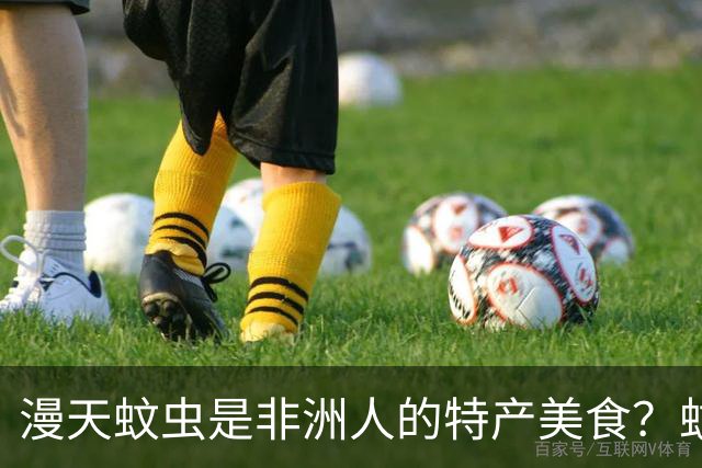 漫天蚊虫是非洲人的特产美食？蚊子直接拍成饼，一口下肚 50 万只！