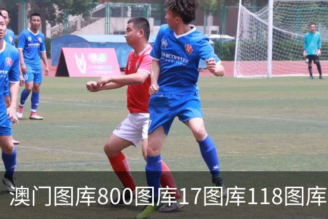 澳门图库800图库17图库118图库免费资料黄大仙的免费资料大全49图库大全第284期新六合彩管家婆最新资料大全