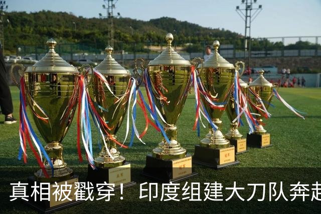 真相被戳穿！印度组建大刀队奔赴中印前线，边境高官公开硬刚莫迪