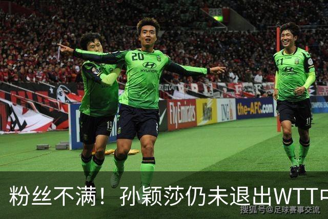 粉丝不满！孙颖莎仍未退出WTT中国赛 媒体人：靠她咬牙坚持撑票房