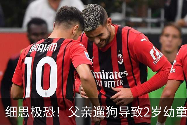 细思极恐！父亲遛狗导致2岁幼童坠亡，母亲曝内情 不是意外是人祸