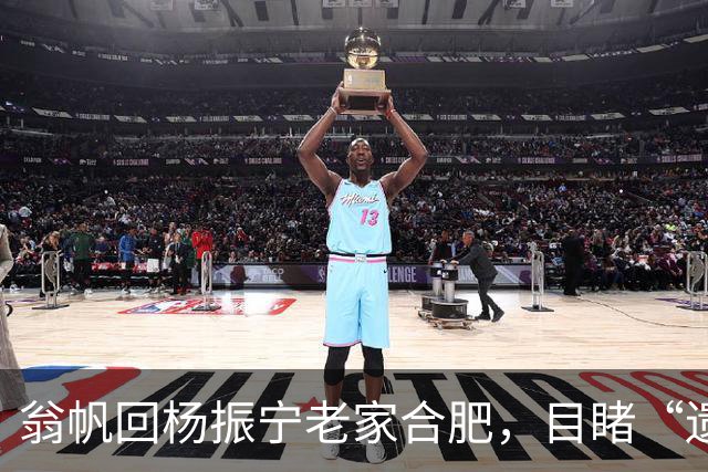 翁帆回杨振宁老家合肥，目睹“遗产”落地，才知亡夫留了一手好牌