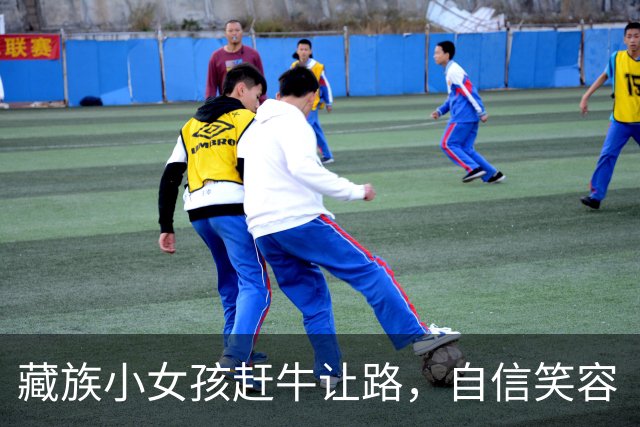 藏族小女孩赶牛让路，自信笑容“硬控”路过司机，打动数万网友！家人：8岁，一年级，性格开朗