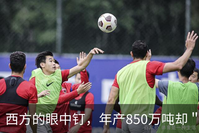 西方的眼中钉，年产850万吨却＂查无此果＂，新疆番茄去哪了？