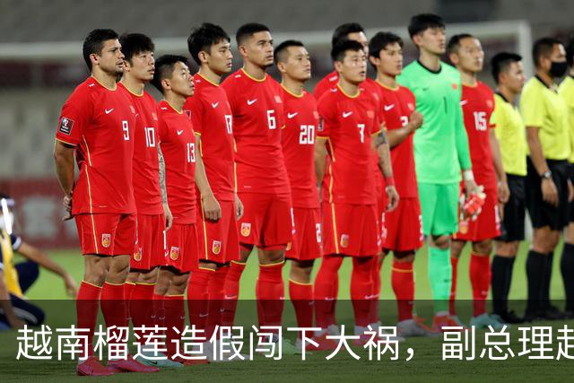 越南榴莲造假闯下大祸，副总理赶到南宁，请中国再给他们一次机会