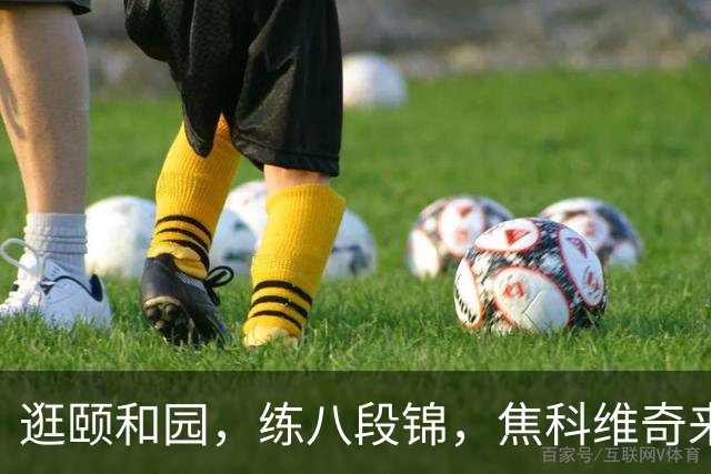 逛颐和园，练八段锦，焦科维奇来中网就像“回家”