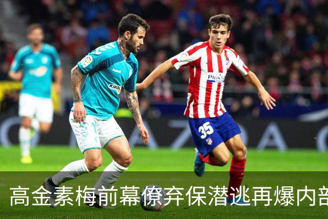高金素梅前幕僚弃保潜逃再爆内部，背后竟牵扯“第五纵队”？
