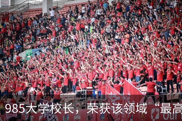 985大学校长，荣获该领域“最高奖”